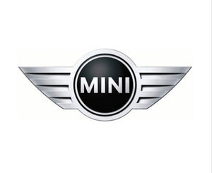 R53 Mini Crankshaft Bolt